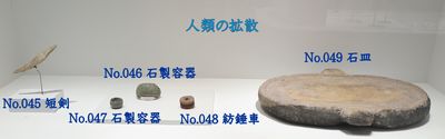 人類の拡散
